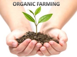 organic-farming-1-728